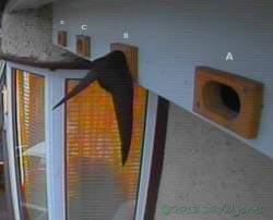 A Swift enters SW(B) at 9.26pm, 22 June 2013