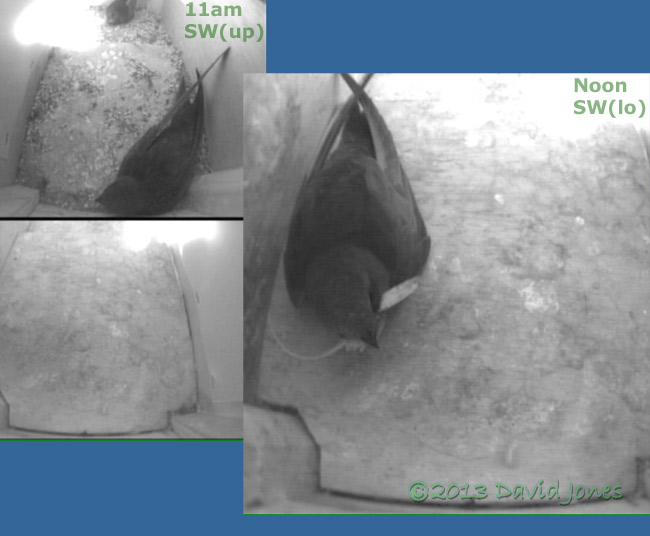 Late morning activity in SW(up) & SW(lo), 25 June 2013