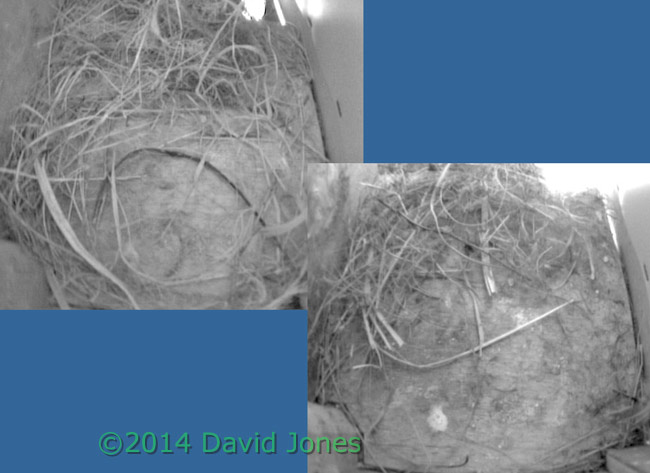SW(lo), showing lack of progress over the last 24hr, 19 April 2014