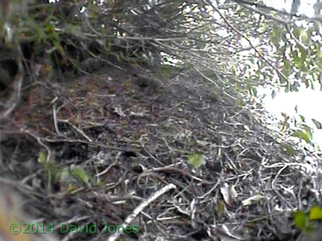 Sheltered area on roof of timber store - cctv image, 28 March 2014