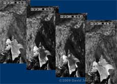 Lichen reacts to being sprayed with rainwater, 22 October 2009