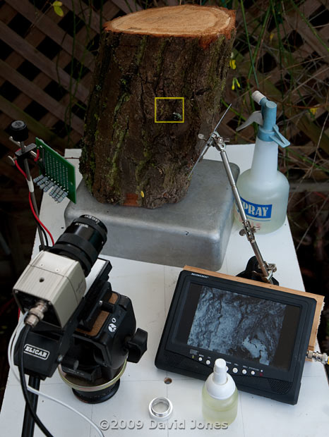 CCTV monitoring set-up with IR lighting, 7 November 2009